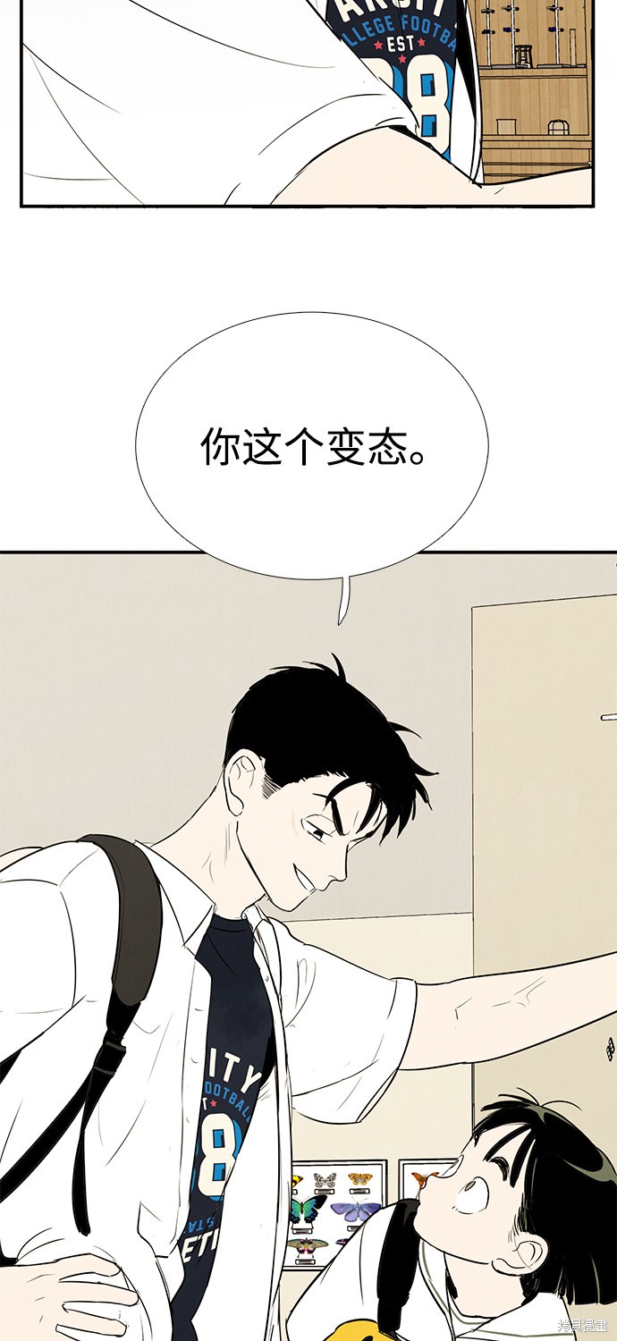 第204页