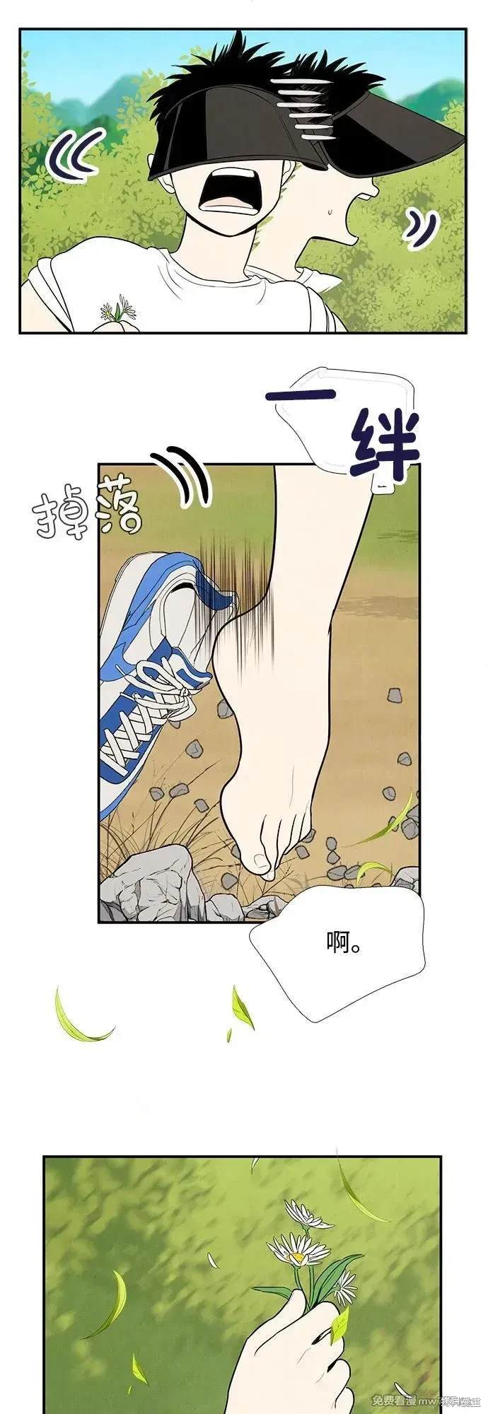 第196页