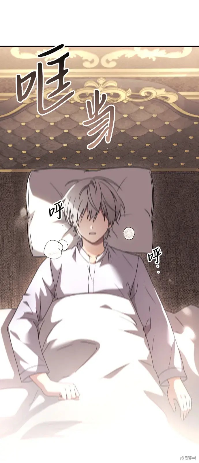 第101页