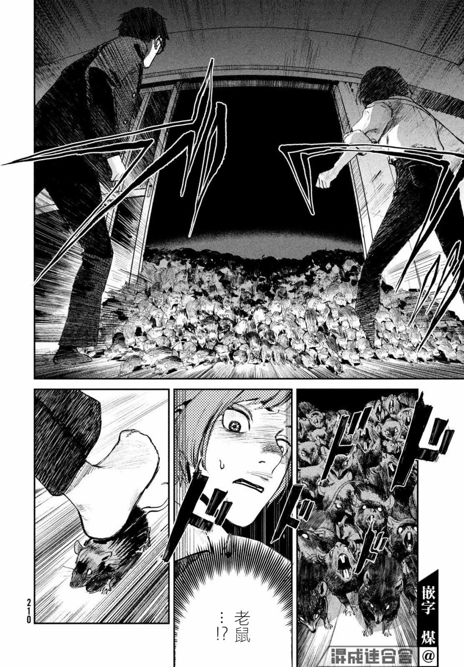 第48页