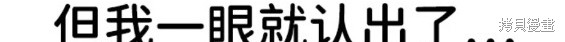第233页