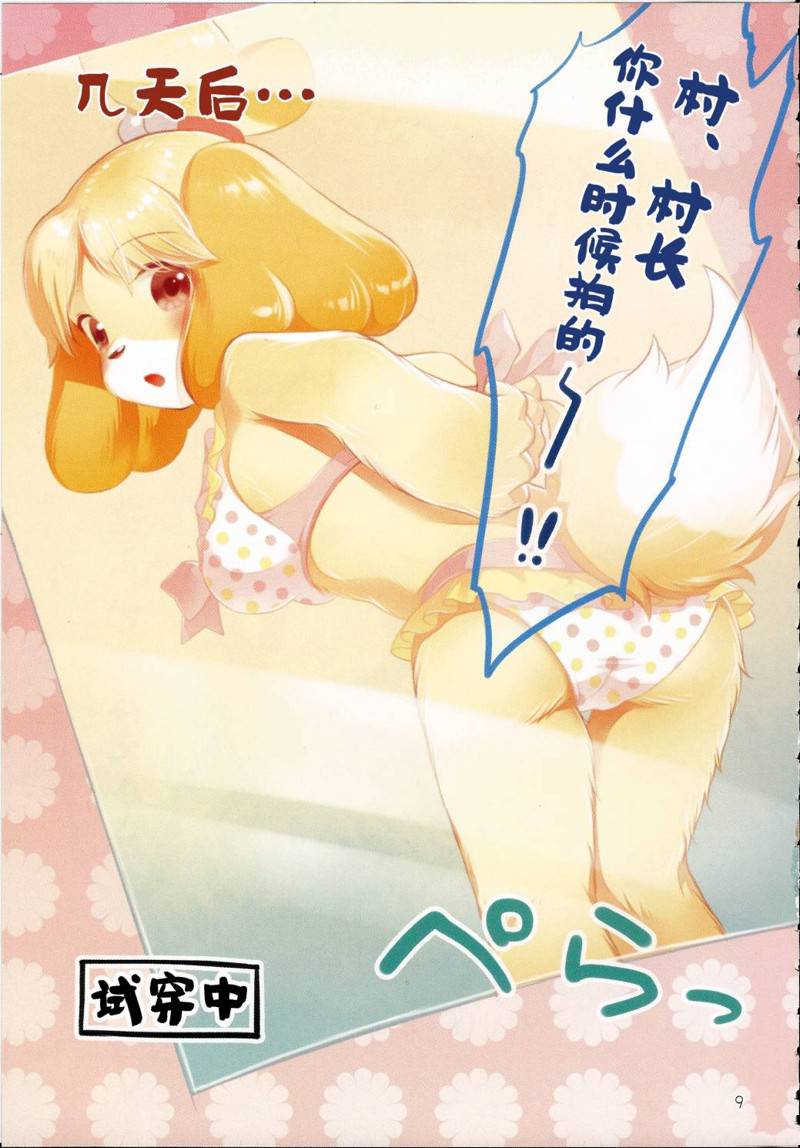 第9页